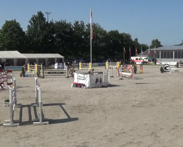 Giebelwald Classics mit Westfälische Meisterschaften Dressur und Springen 2021