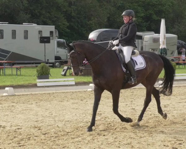Reitturnier Heiligenwald 2021
