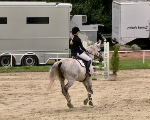 Reitturnier Heiligenwald 2021