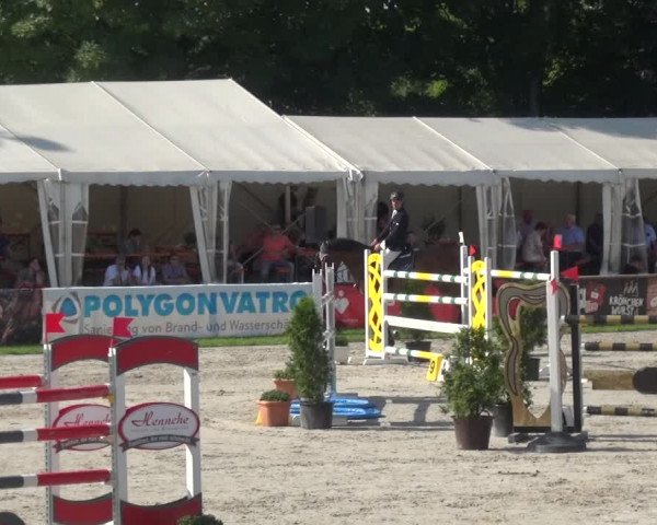 Giebelwald Classics mit Westfälische Meisterschaften Dressur und Springen 2021
