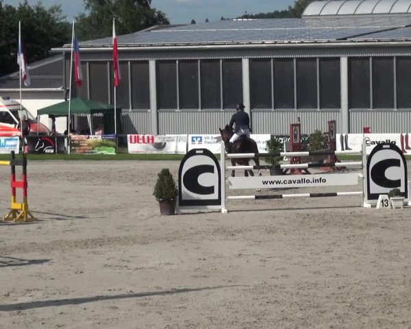 Giebelwald Classics mit Westfälische Meisterschaften Dressur und Springen 2021