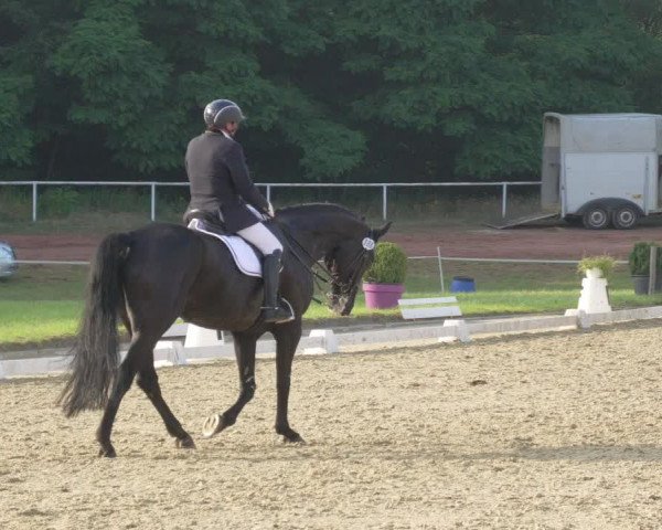 Reitturnier Heiligenwald 2021