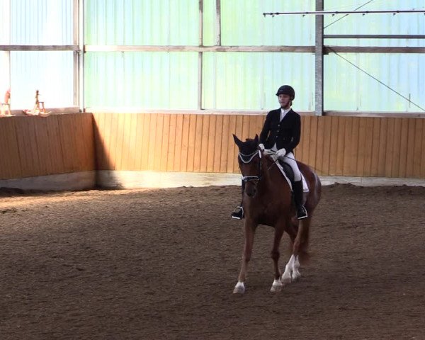 Reitturnier Herbern 2021