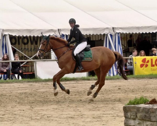 Reitturnier Heiligenwald 2021