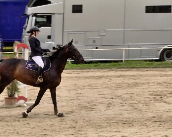 Reitturnier Heiligenwald 2021