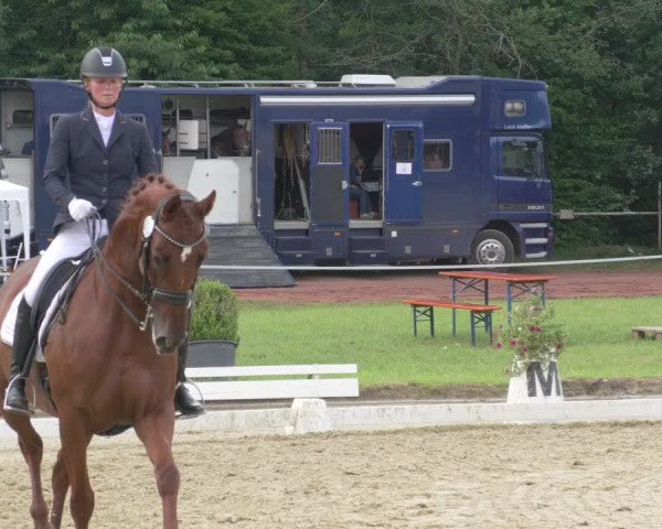Reitturnier Heiligenwald 2021