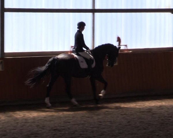 Reitturnier Herbern 2021
