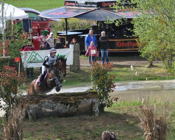 broodmare Chocolina de Lu (German Riding Pony, 2004, from FS Champion de Luxe)