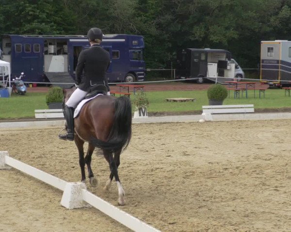 Reitturnier Heiligenwald 2021