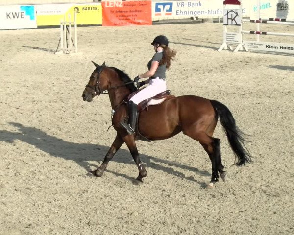 Reitturnier Ehningen 2021