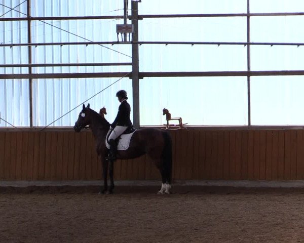 Reitturnier Herbern 2021
