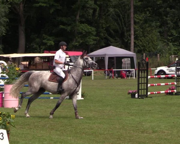 Reitturnier Boock 2021