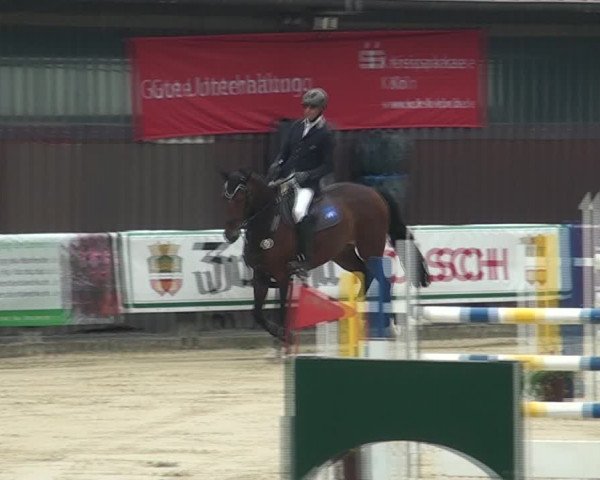 Reitturnier Marienheide-Kempershöhe 2021