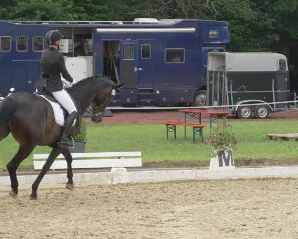Reitturnier Heiligenwald 2021