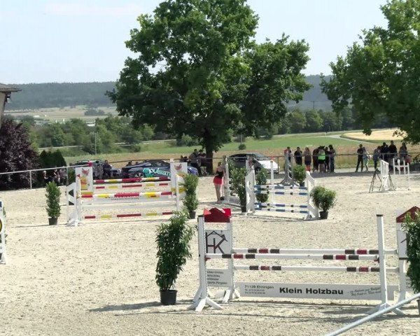 Reitturnier Ehningen 2021