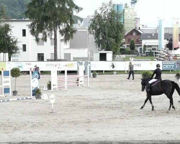 Reitturnier Dagmersellen 2021