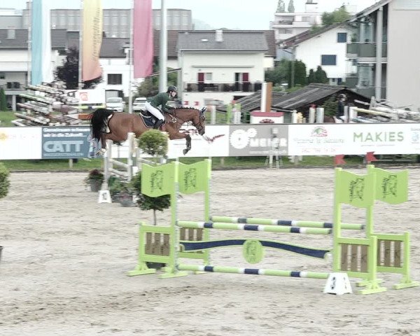 Reitturnier Dagmersellen 2021