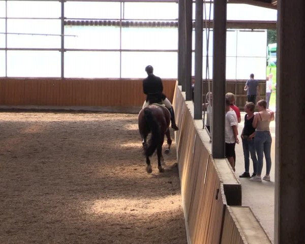 Reitturnier Herbern 2021