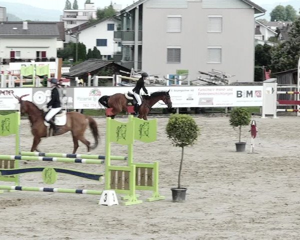 Reitturnier Dagmersellen 2021