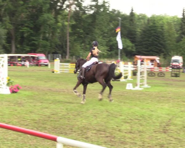 Reitturnier Boock 2021