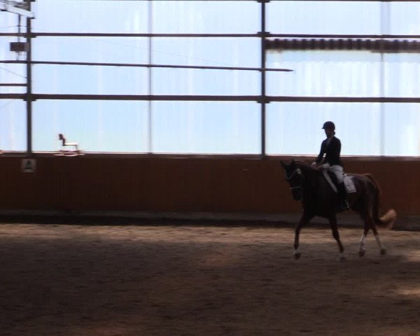 Reitturnier Herbern 2021