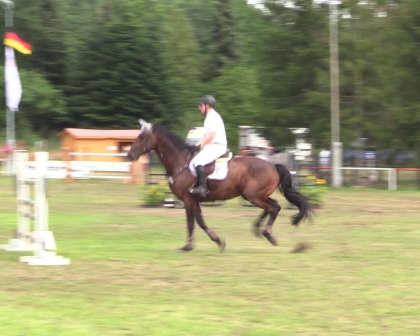 Reitturnier Boock 2021