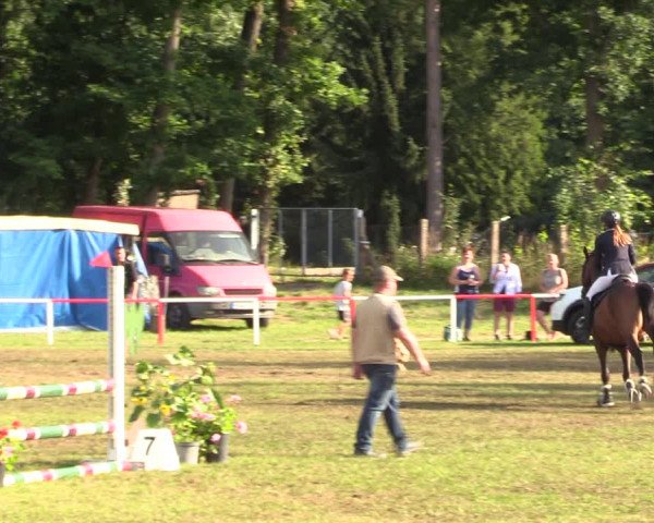 Reitturnier Boock 2021