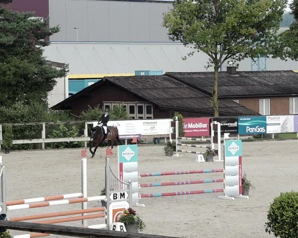 Reitturnier Dagmersellen 2021