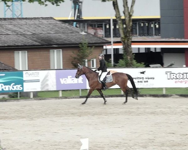 Reitturnier Dagmersellen 2021