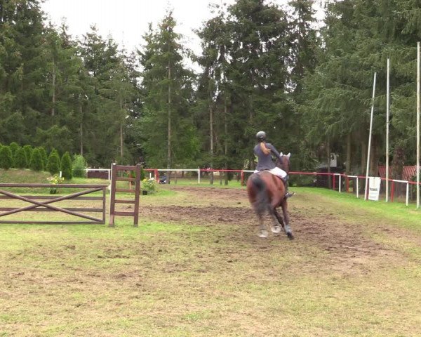 Reitturnier Boock 2021
