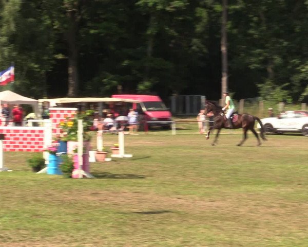 Reitturnier Boock 2021