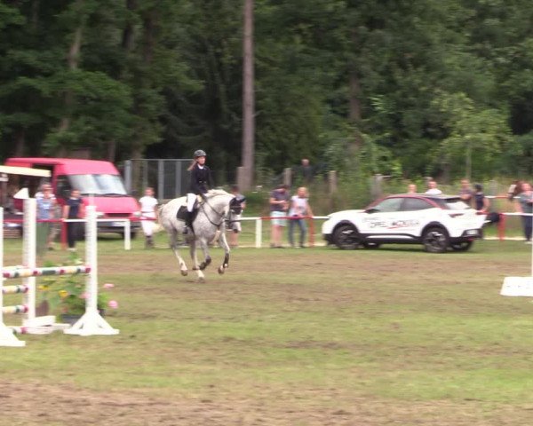 Reitturnier Boock 2021