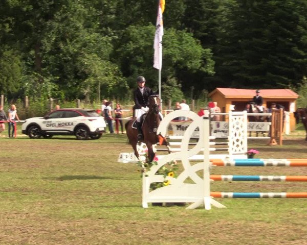 Reitturnier Boock 2021