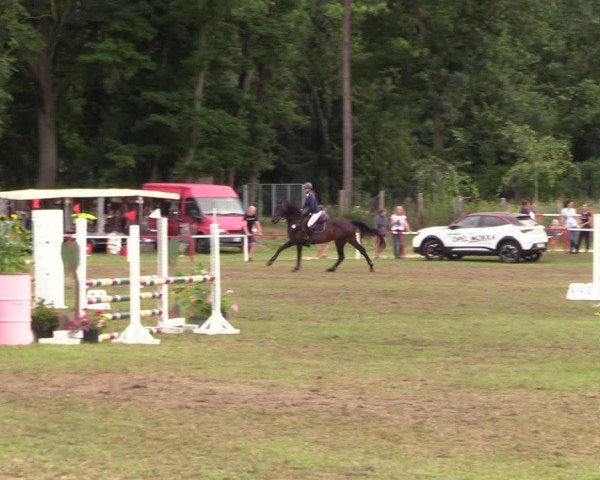 Reitturnier Boock 2021