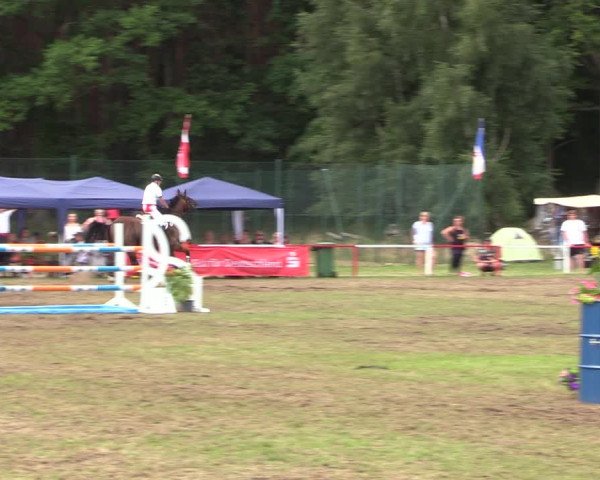 Reitturnier Boock 2021