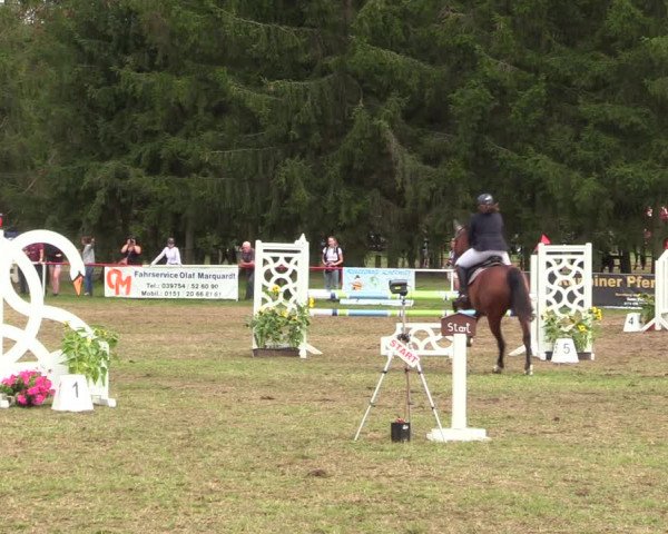 Reitturnier Boock 2021