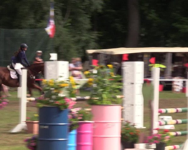 Reitturnier Boock 2021