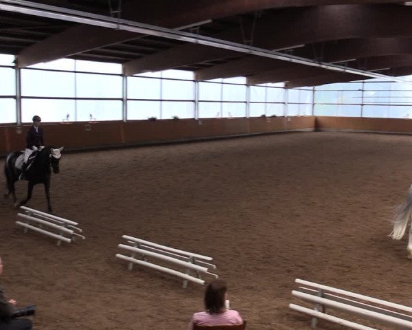 Reitturnier Herbern 2021