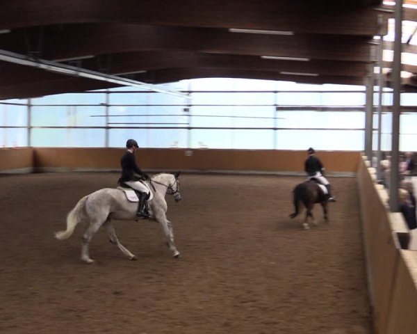 Reitturnier Herbern 2021