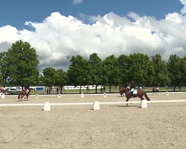 Reitturnier Rot am See- Musdorf 2021
