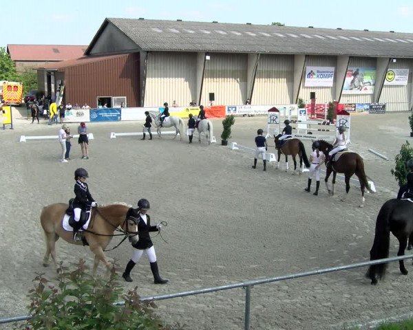 Reitturnier Ehningen 2021