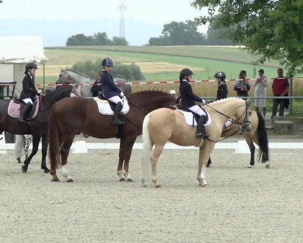Reitturnier Ehningen 2021