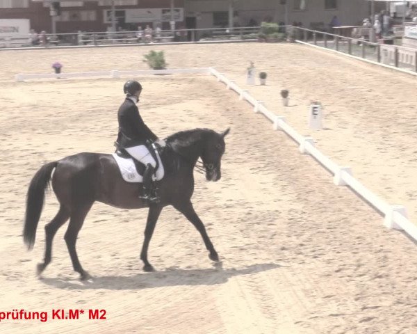 Reitturnier Uder, Reitanlage Kobold 2021