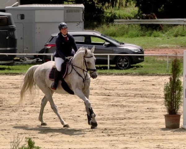 Reitturnier Heiligenwald 2021