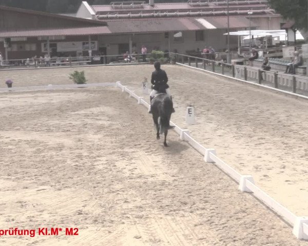 Reitturnier Uder, Reitanlage Kobold 2021