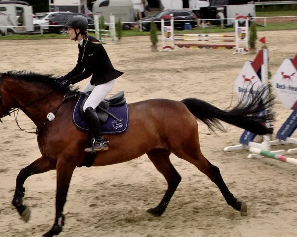 Reitturnier Heiligenwald 2021