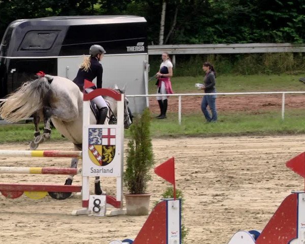 Reitturnier Heiligenwald 2021