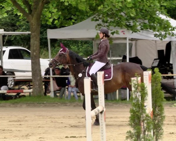 Reitturnier Heiligenwald 2021