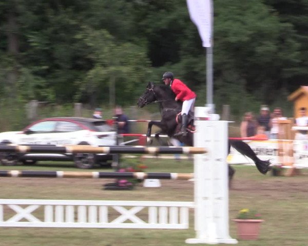 Reitturnier Boock 2021