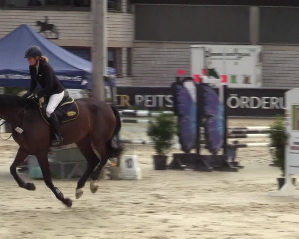Reitturnier Olfen-Vinnum 2021